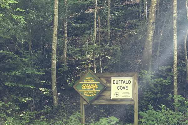 Buffalo Cove Game Lands