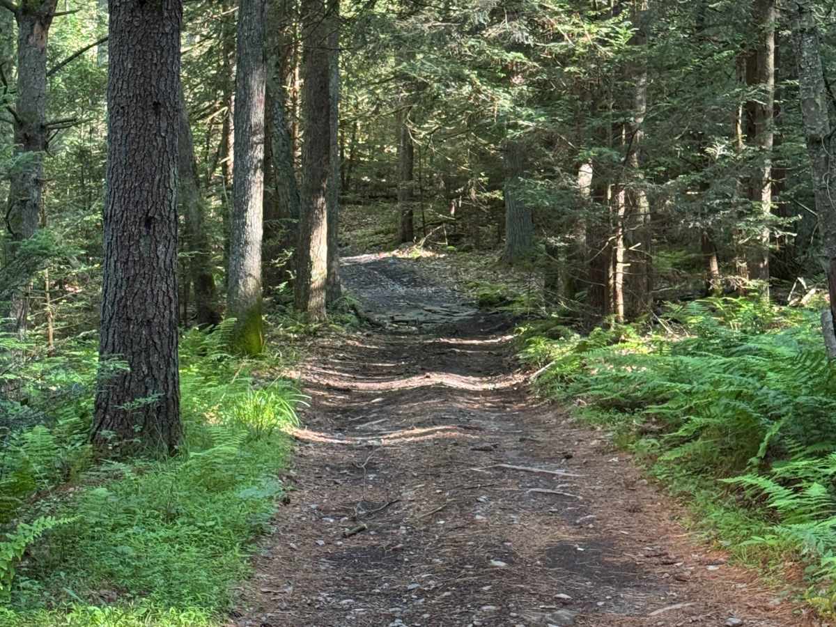 Stitzer's Well Trail photo 3