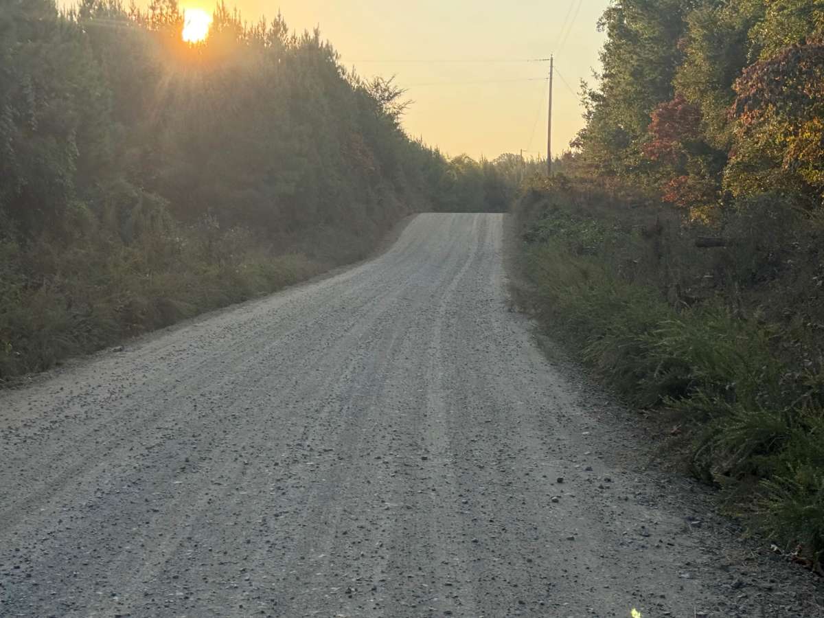 Polk Road 32 trail photo
