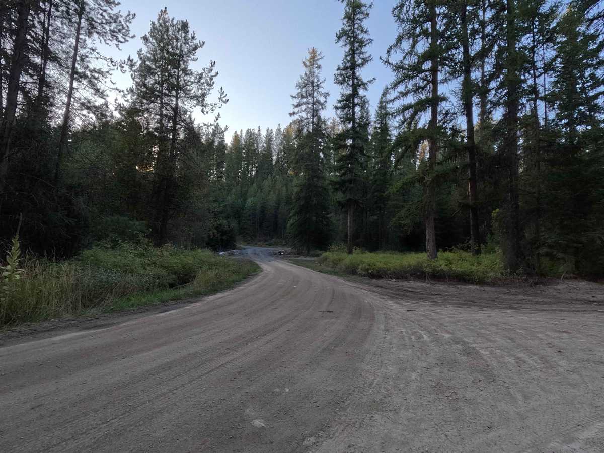FS 9545900 trail photo