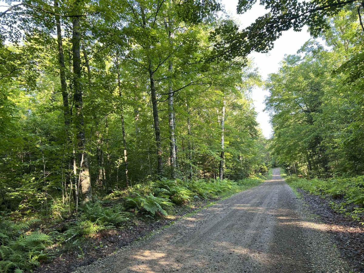  Lost Lake Road - FS 2158 photo 6