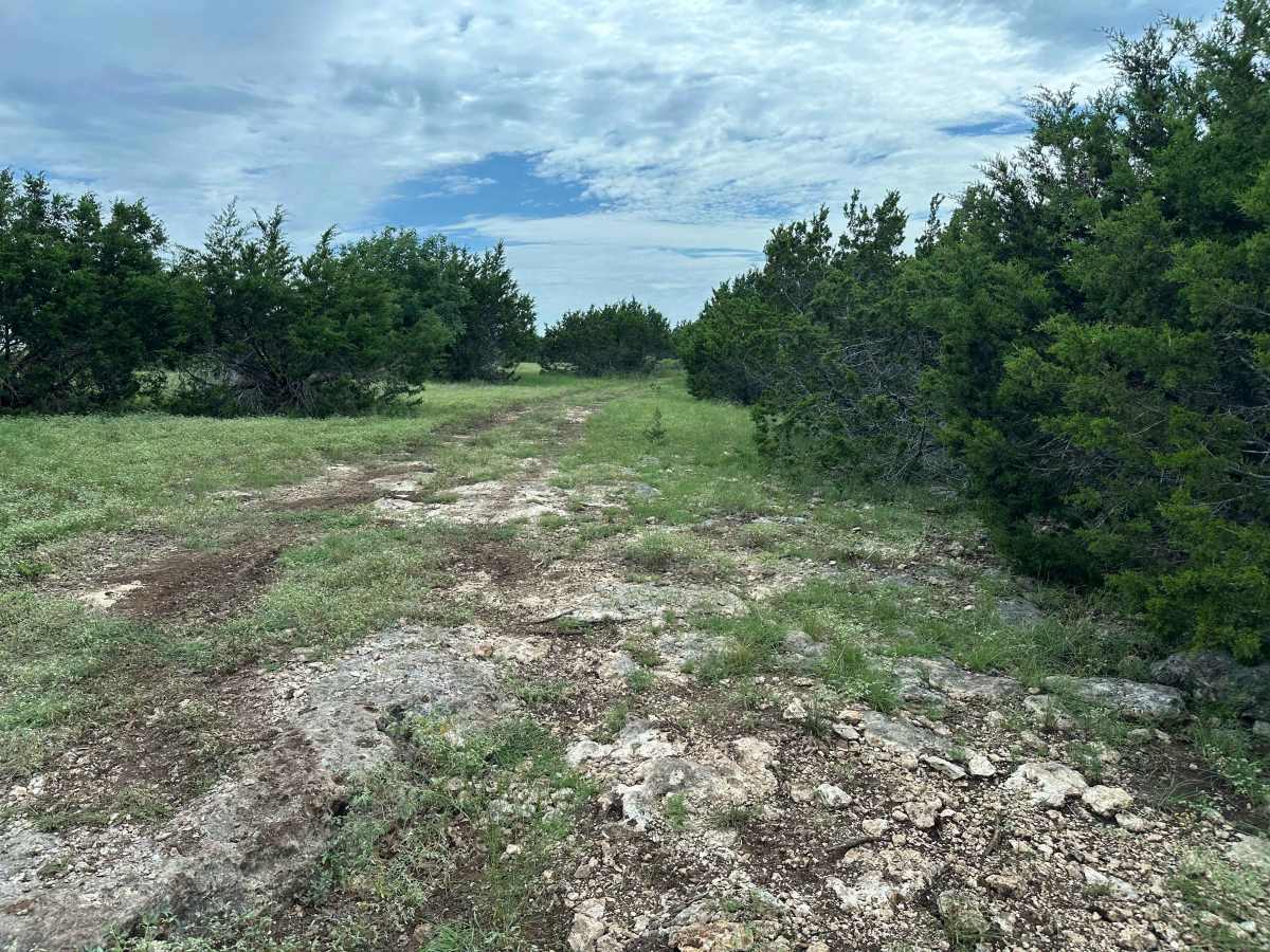 Chisholm Trail photo 5