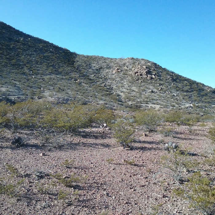 Near Three Hills Loop 3