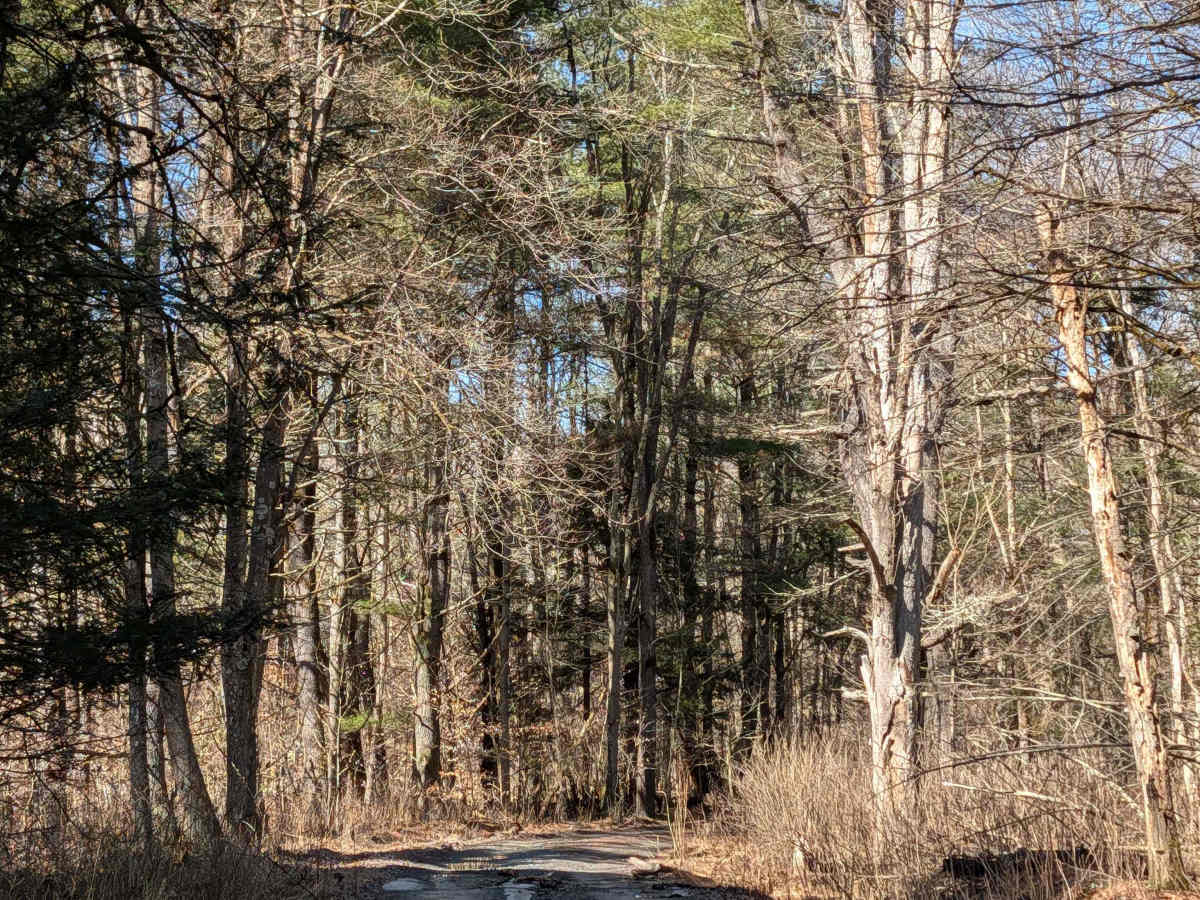 Stone Jug Road photo 3