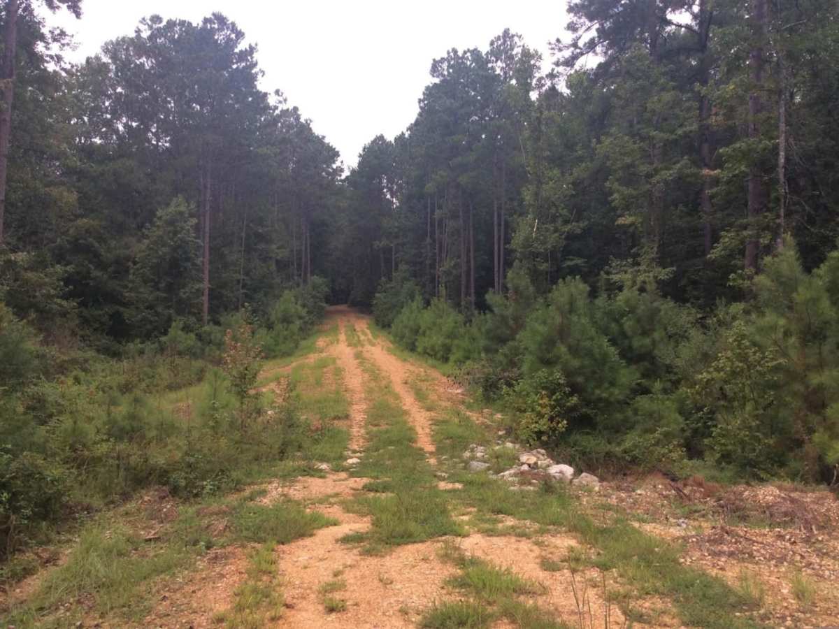 HCNF Woodlawn Trail trail photo