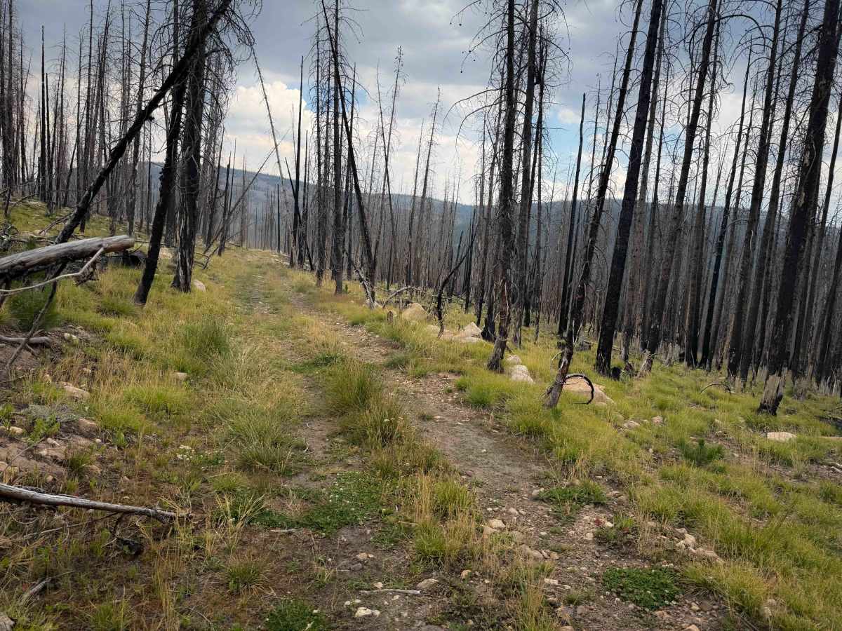 Broadhead Loop - FS 306A  photo 2