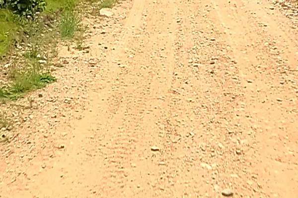 Section 32 Road North - FS T45N-R25W