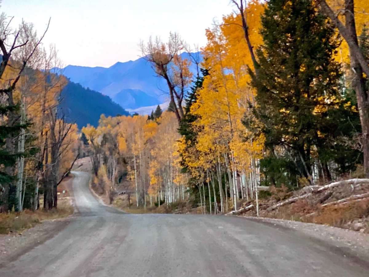 South Fork Ilium Road photo 6