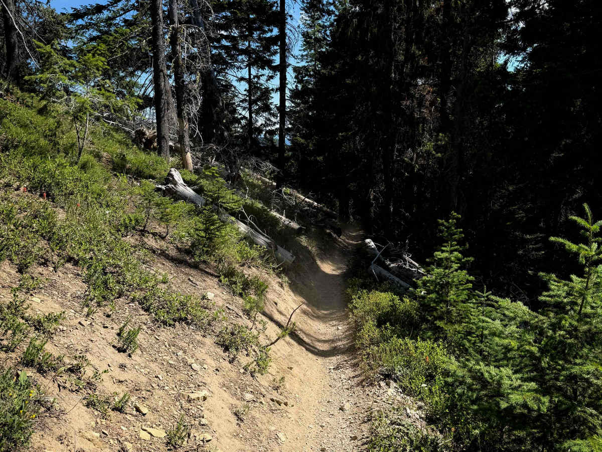 Lower Mount Clifty - FS 947 photo 6