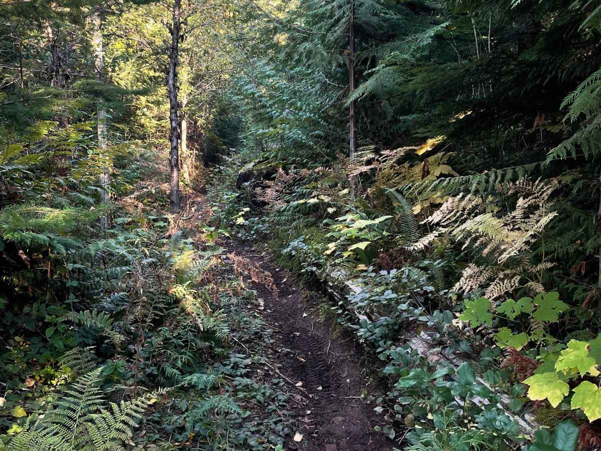 Hell's Stairway trail photo
