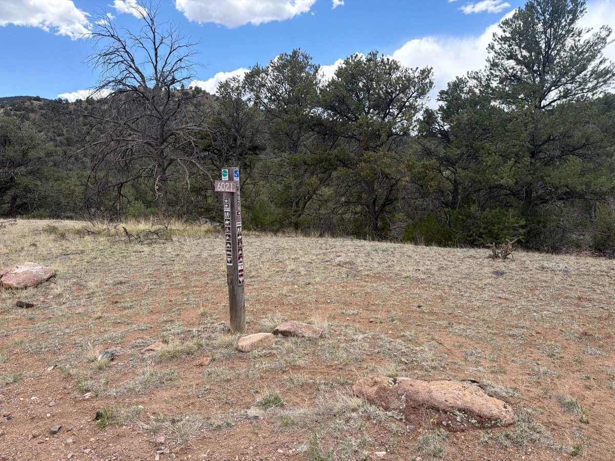 BLM 6021 photo 4