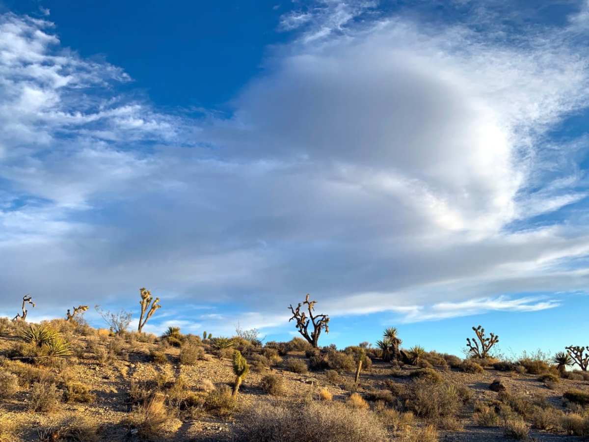 Sand Wash Road trail photo
