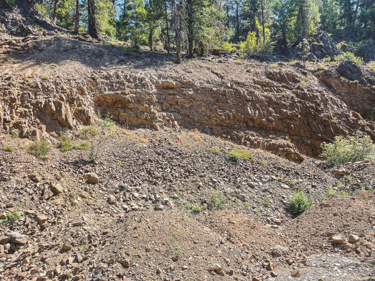 Swamp Creek Trail photo 6