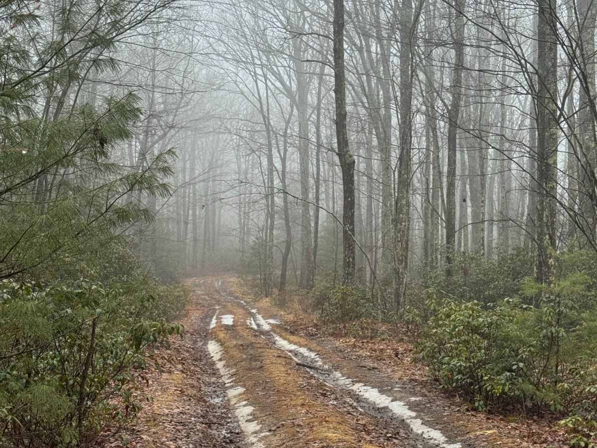 Eagleton Run Blue Trail photo 6