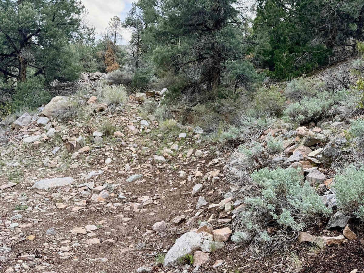  Horse Creek - FS 44166 photo 3