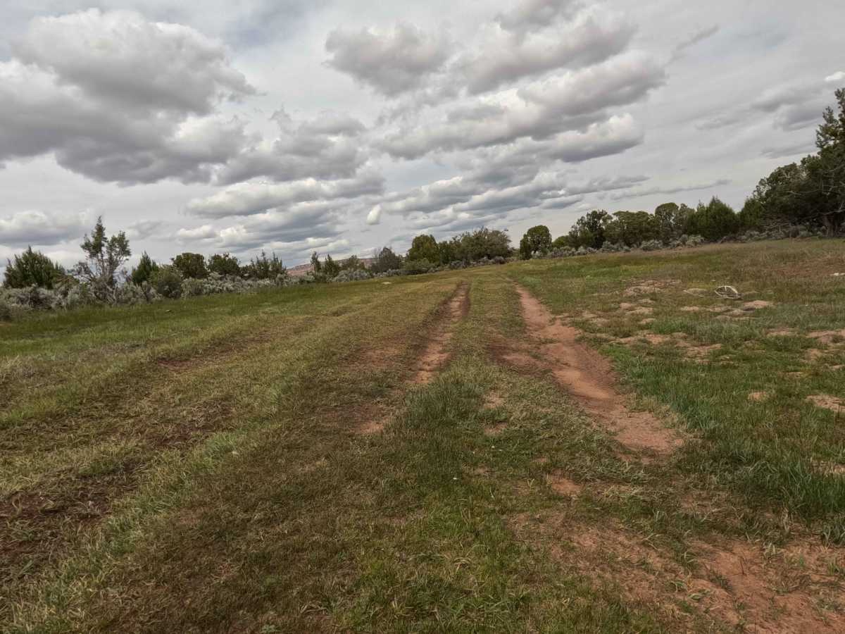 BLM 62 photo 6