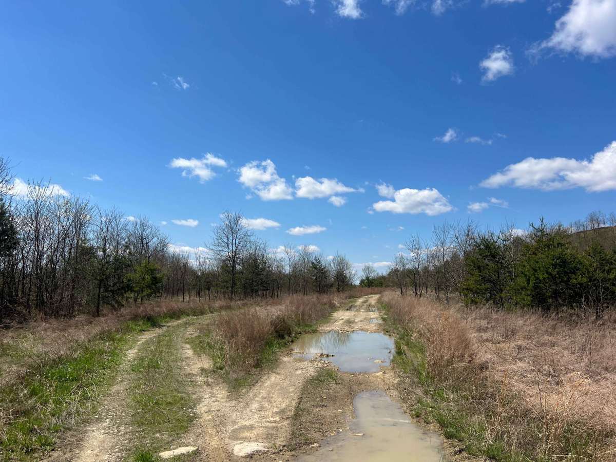 Q37 trail photo
