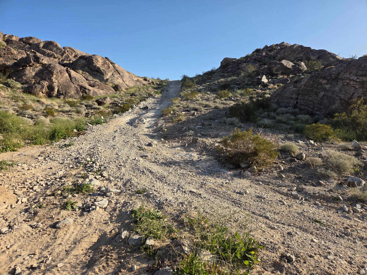 Fissure Mountain trail photo