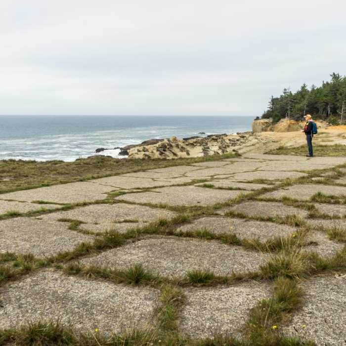 Near Shore Acres Loop Trail