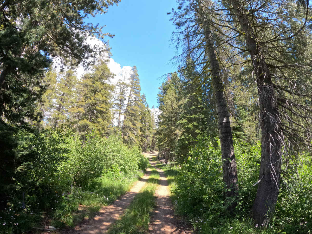 Church Creek Spur - Fs 28-004 photo 3