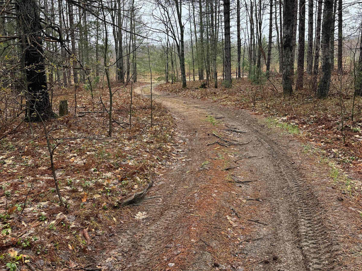 Kolke Creek Trail trail photo
