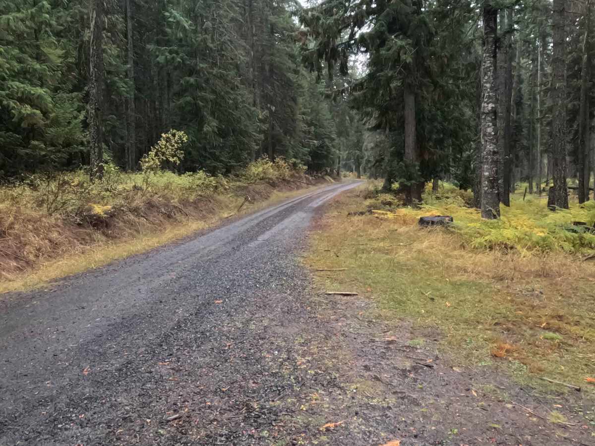 Dinner Bucket Ridge - FS 1444 photo 6