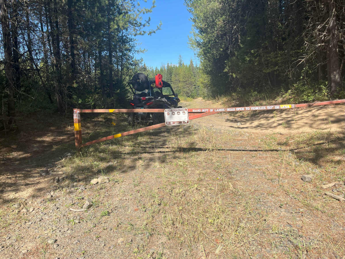 Moose Creek Upper Road Track trail photo