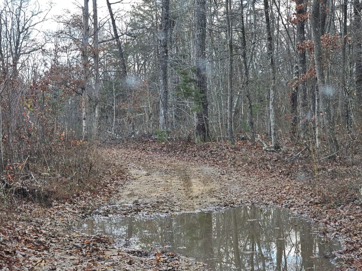 Railey Road photo 2
