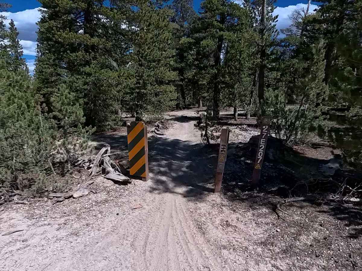 FS 27E207 trail photo