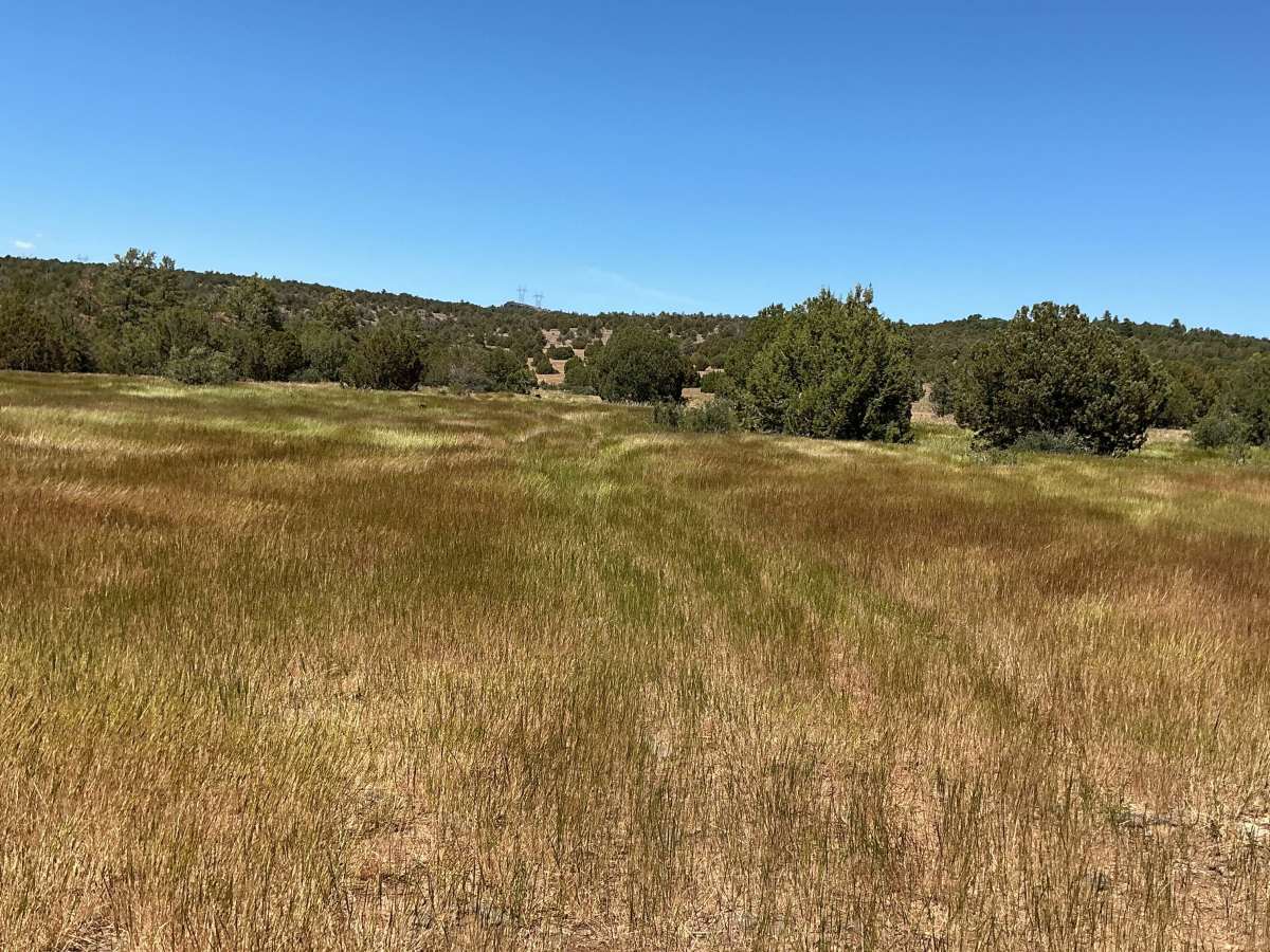 FS 9K trail photo