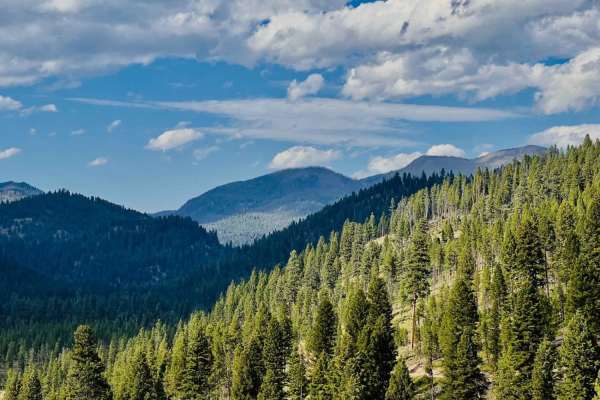 Johnson Peak Trailhead