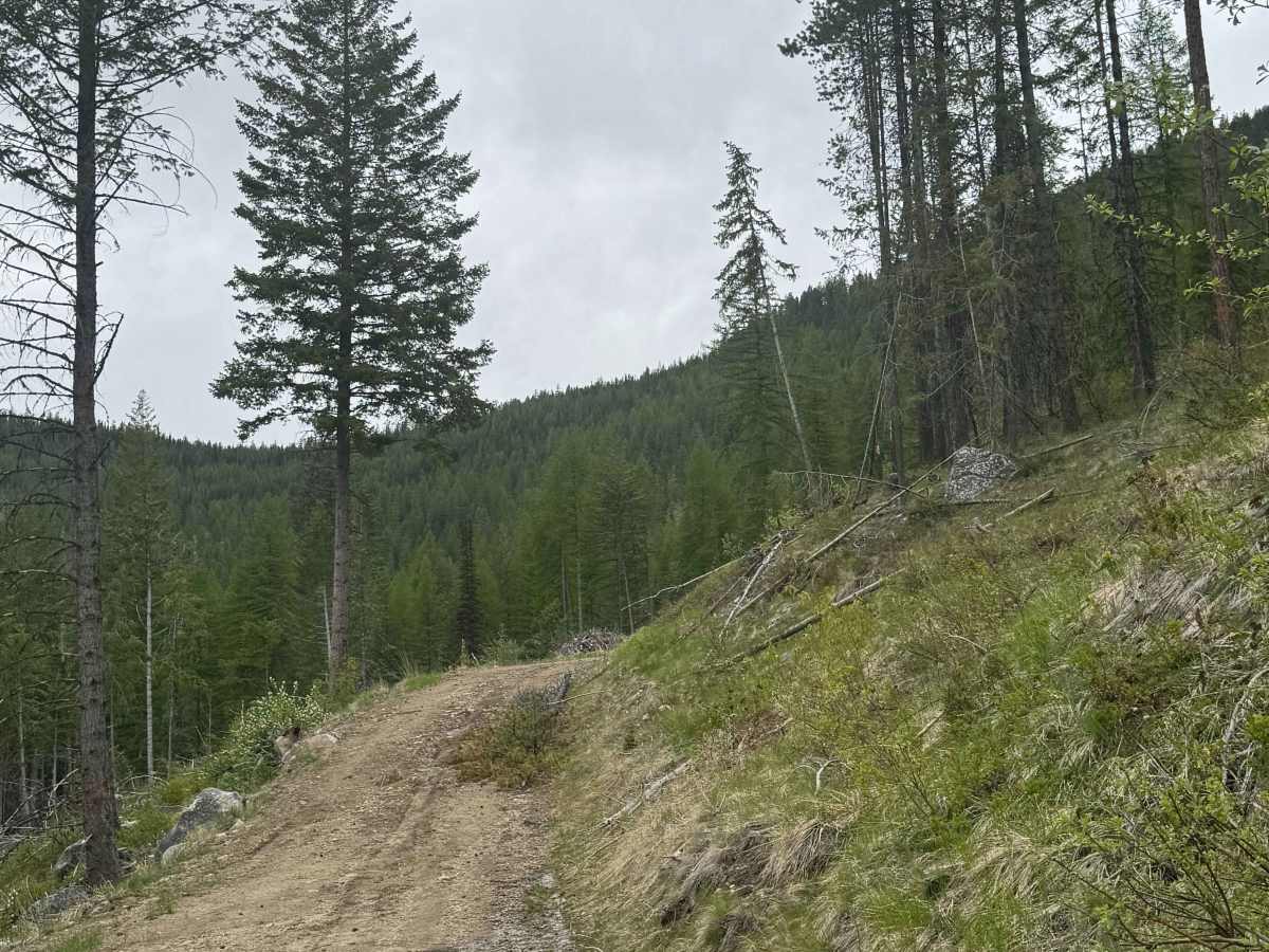 Fritz Creek Ext - FS 2000-420 photo 4
