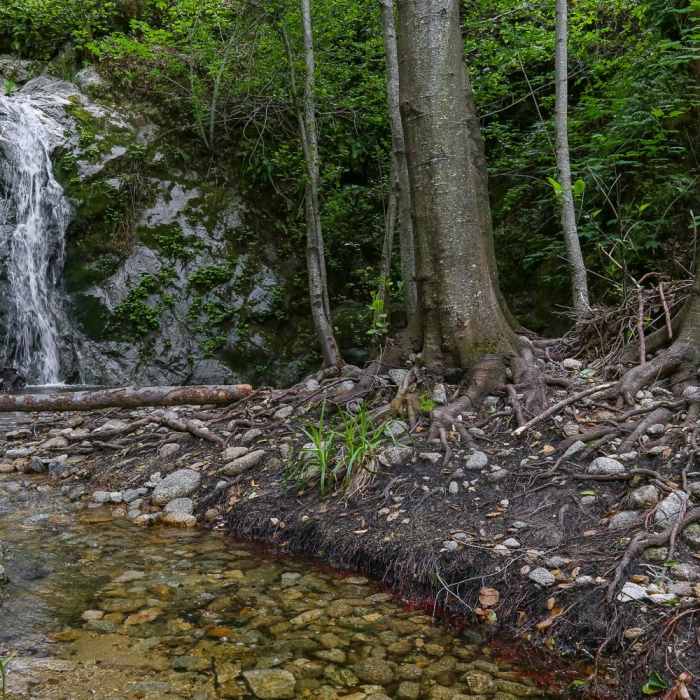 Near Fern Falls via Kahn Ranch