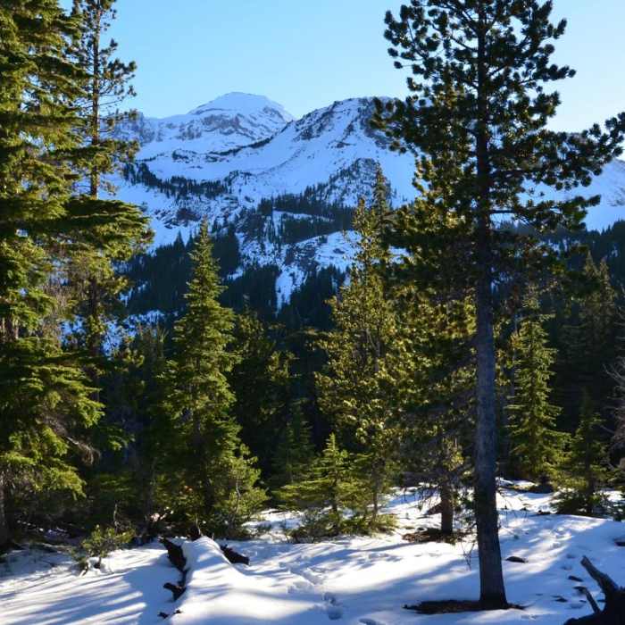 Near Demaris Lake Near Demaris Lake