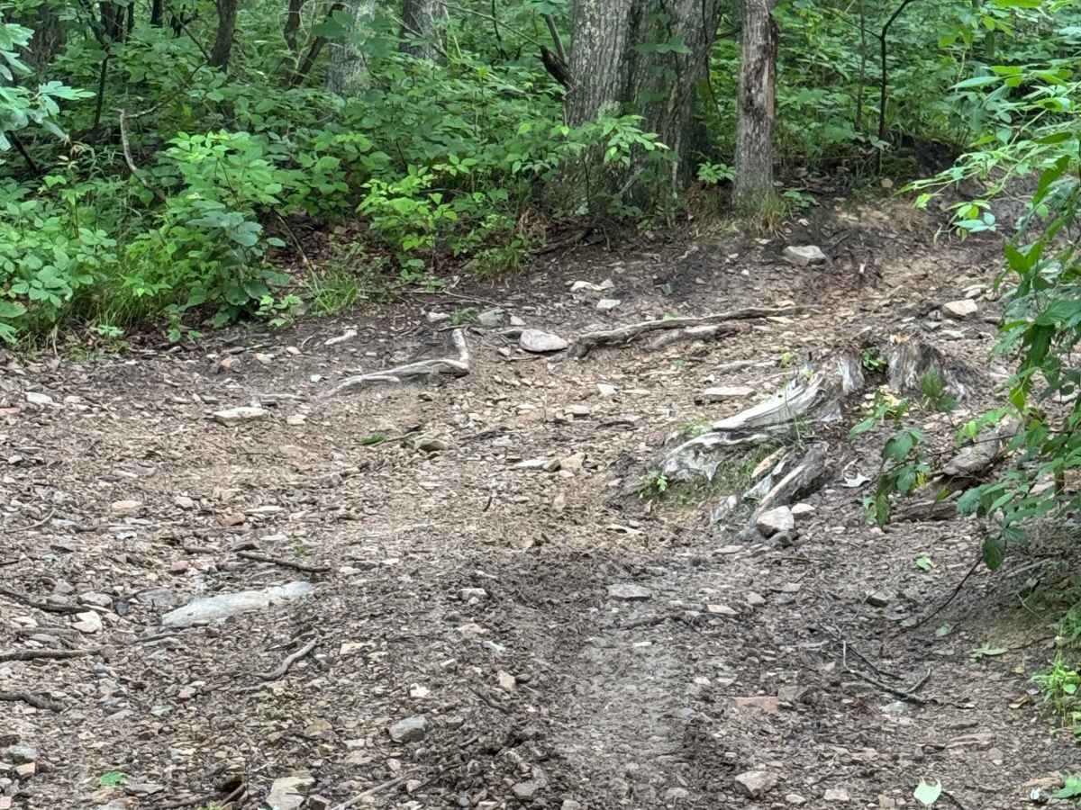 Trail 46 photo 3
