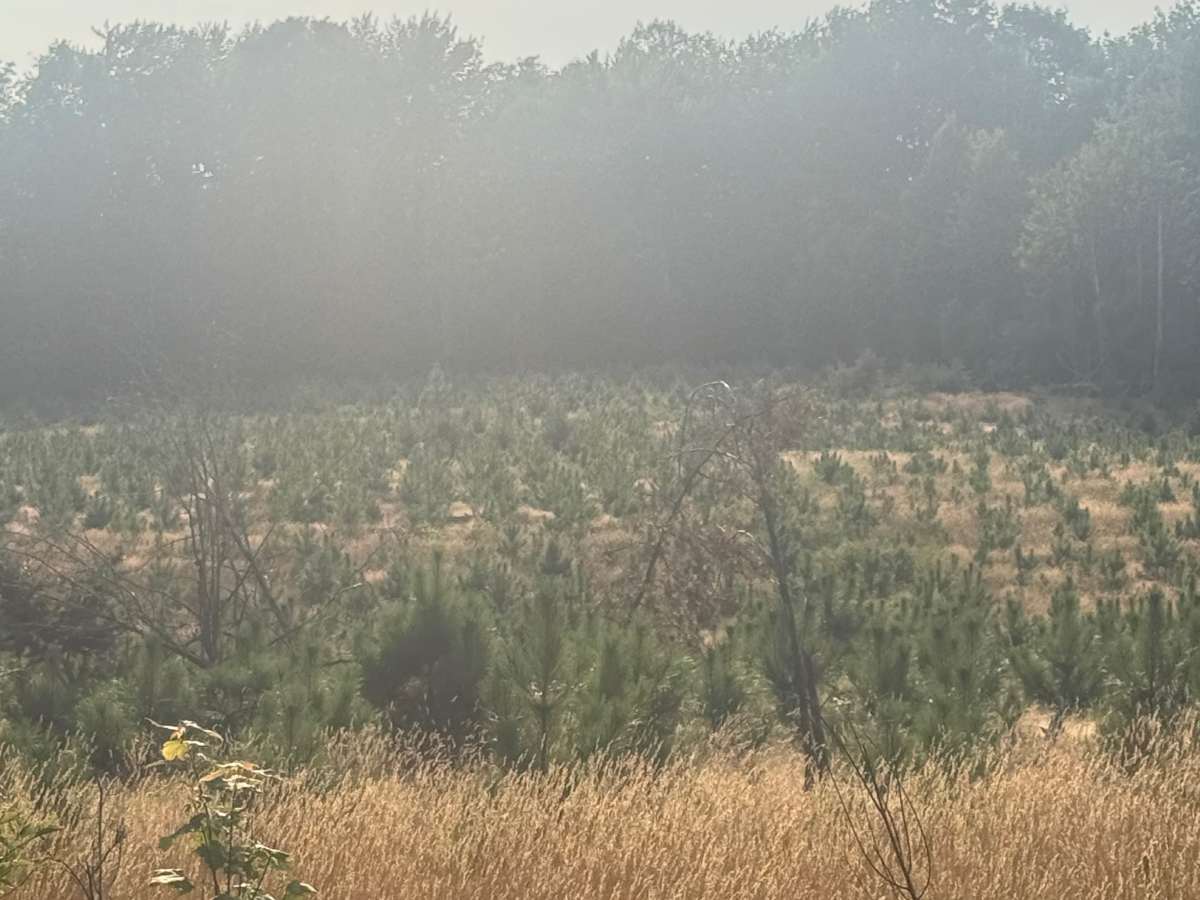 N 3 Trail photo 6