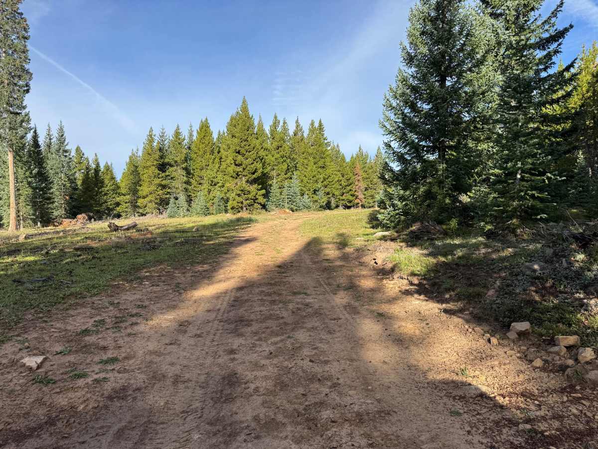 Taylor Creek J Road photo 3