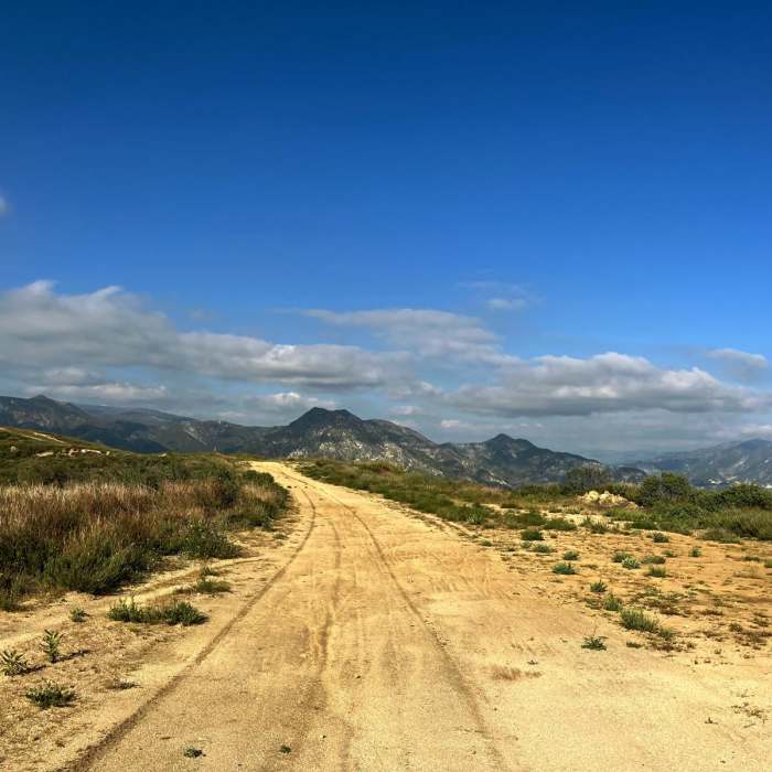 Near Oak Springs Loop