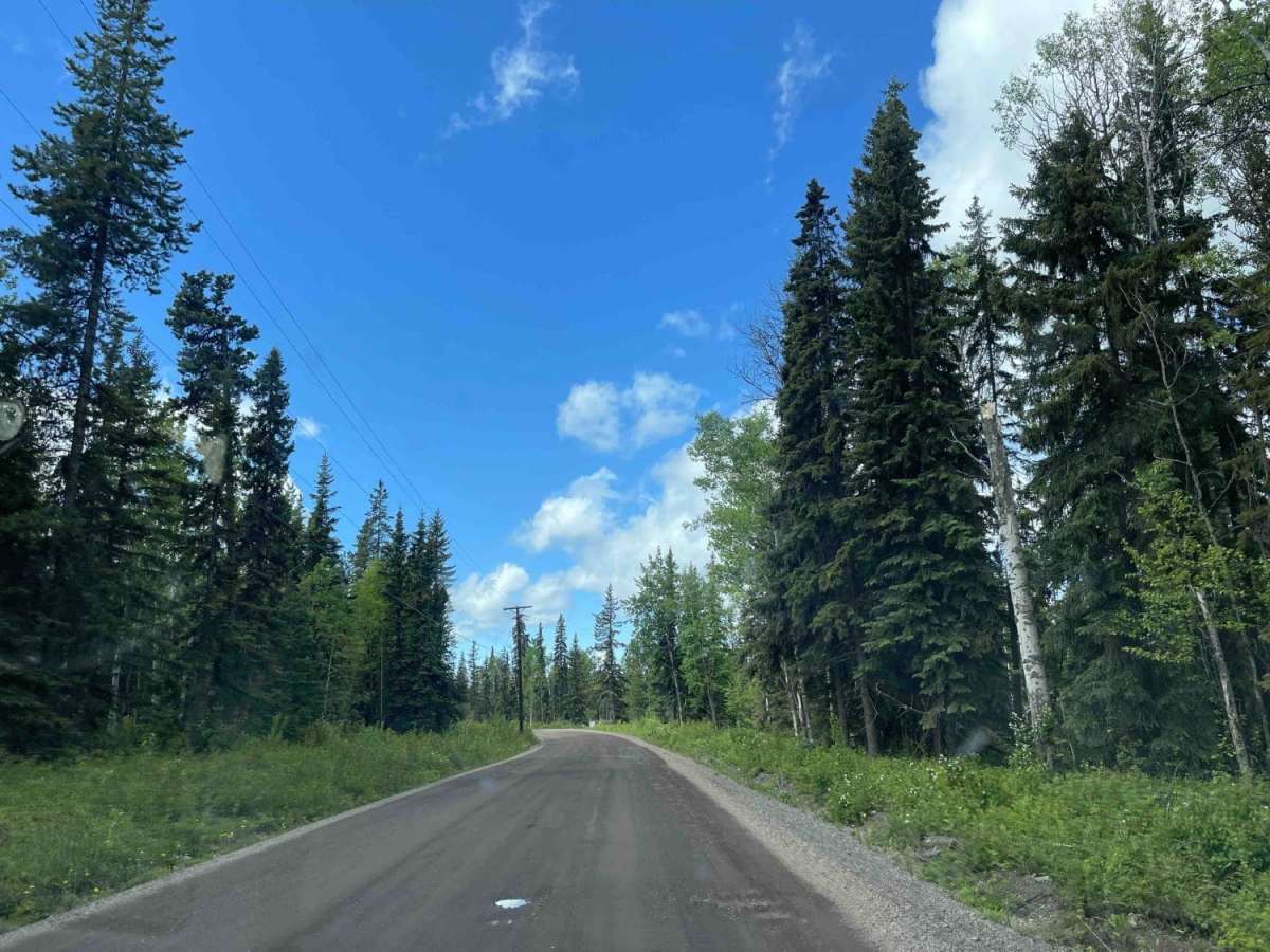 Telkwa 1000 Road trail photo