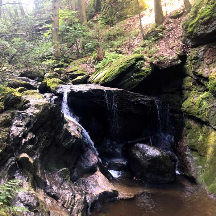 Near Blue Blaze Trail