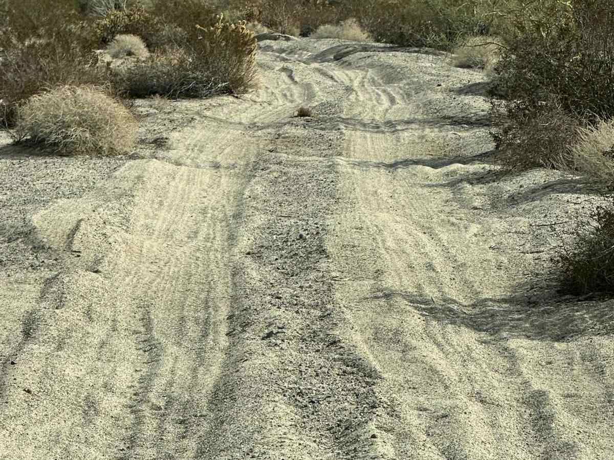 Salt Flats Trail photo 3