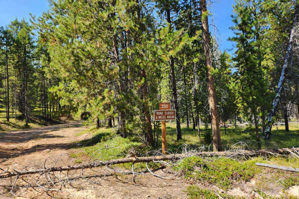 Emerine Trail