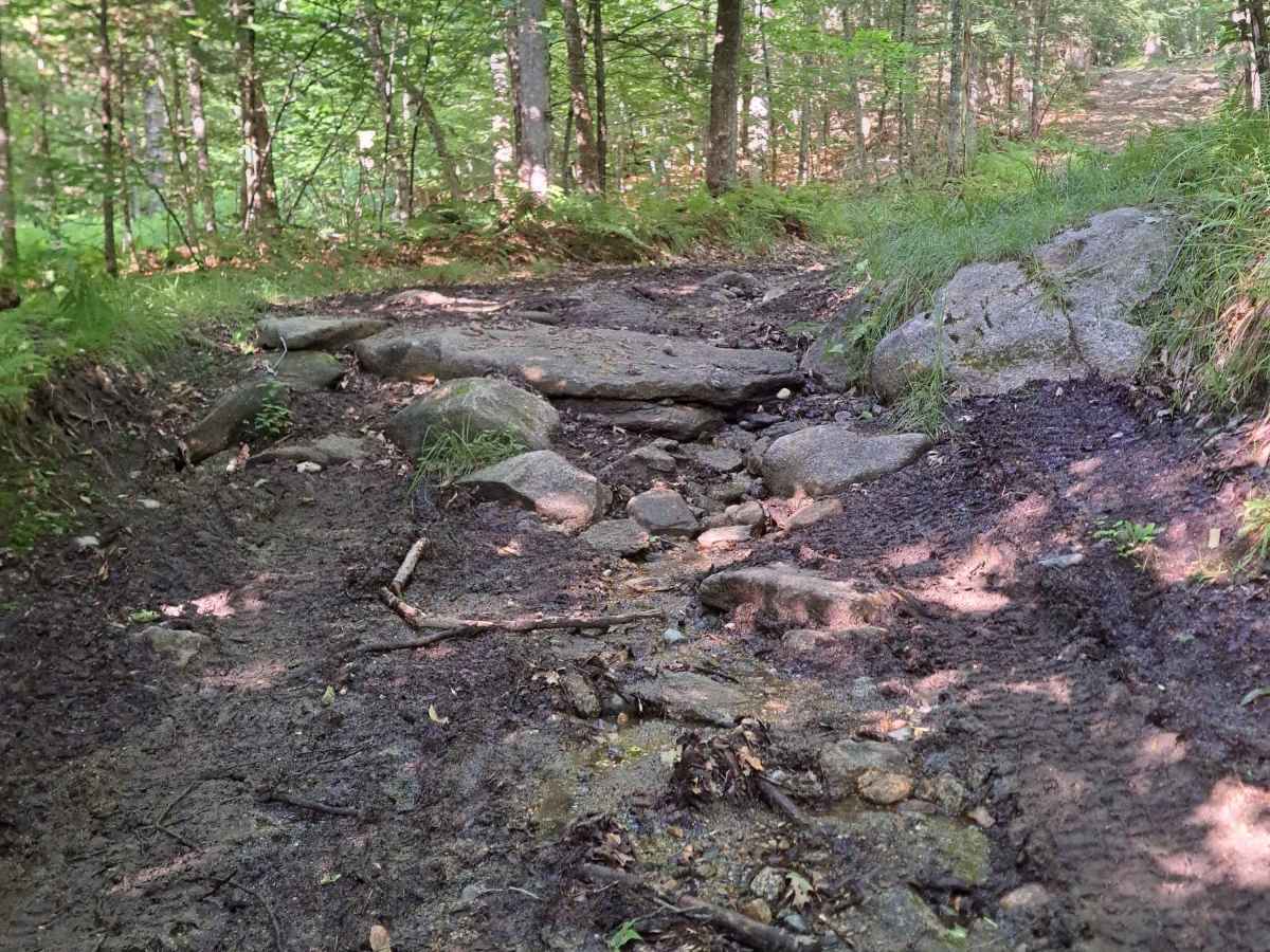 Lovejoy Brook Rd / Kilton Rd trail photo