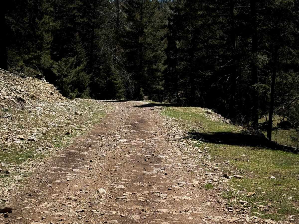 Old Sunspot Highway - FS 5009  photo 4