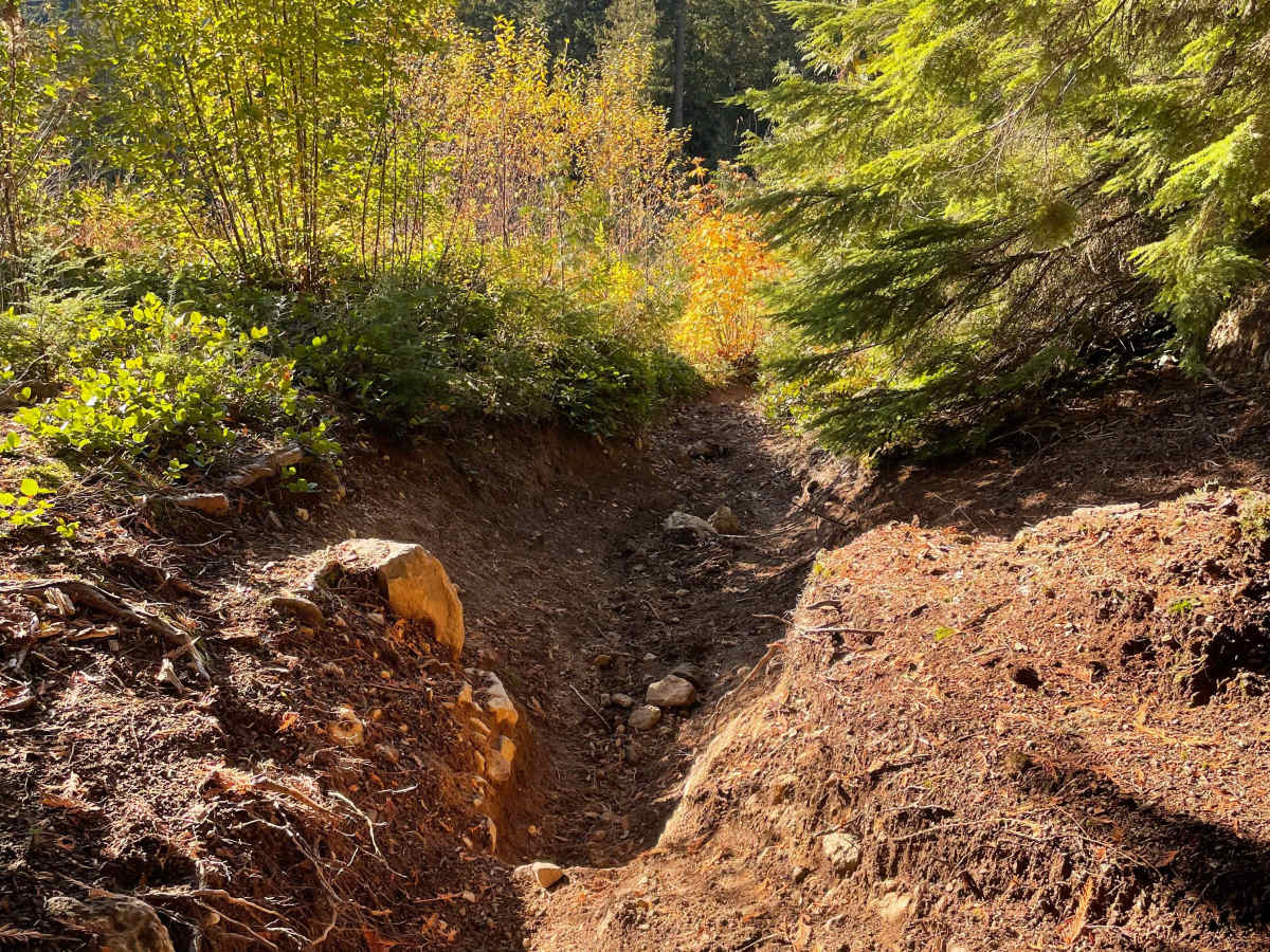 Climb and Connect trail photo