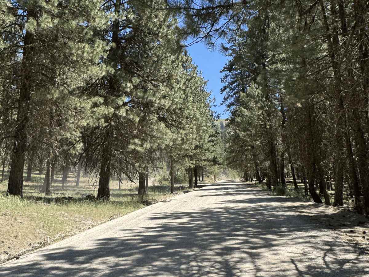 South Fork River Road trail photo