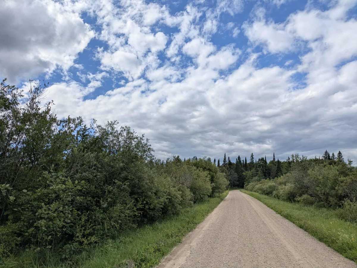 Nyhiem Forest Road trail photo