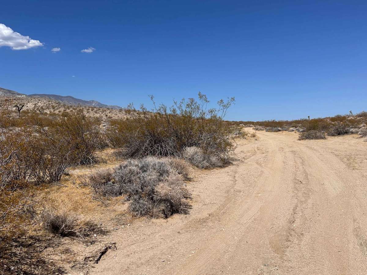 East Fork Wash photo 3