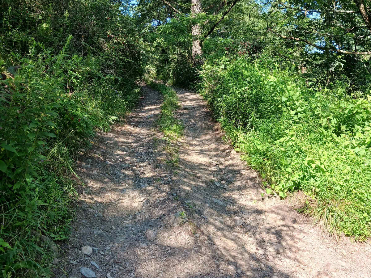 Trail 13D - Rock Run Recreation Area photo 2
