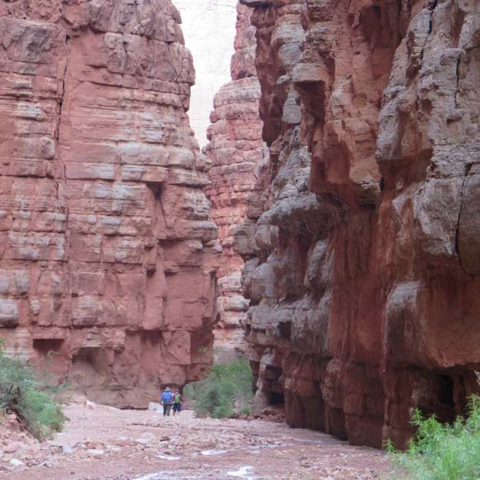 Near Saddle Canyon